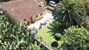A residential property with a tiled roof, a small patio with outdoor furniture, and a well-maintained garden with a palm tree.