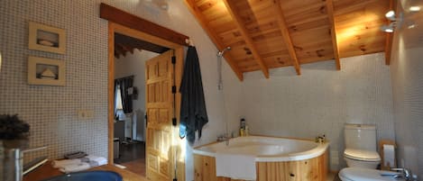 Combined shower/tub, hair dryer, bidet, towels