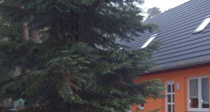 Ferienwohnung Eichhörnchen - Ferienhaus Jägerswalde