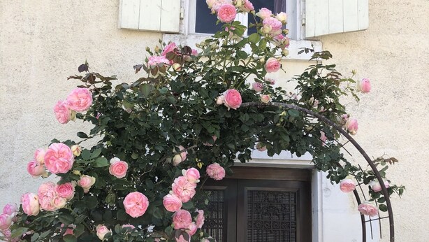 Un edificio con una porta in legno scuro e una finestra con persiane bianche.