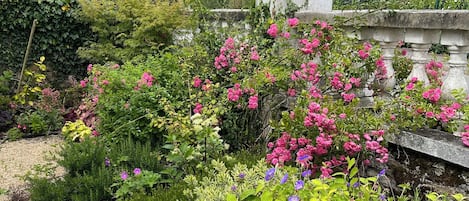 A garden with various plants and flowers, a stone wall, and a building in the background.