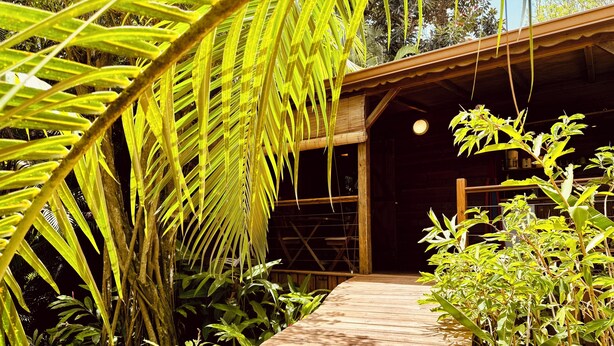 A wooden pathway leading to a building surrounded by lush greenery and tropical plants.