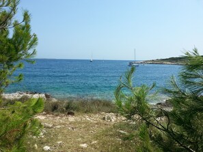 بالقرب من الشاطئ