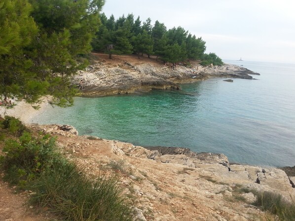 A coastal landscape with rocky terrain, clear turquoise water, and dense pine trees.