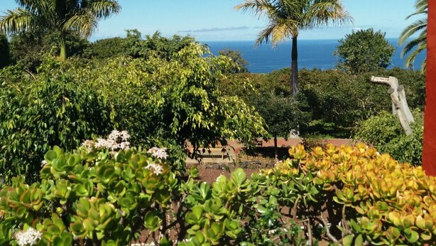 A lush garden with various plants and trees, a red building, and a view of the ocean. - Light-flooded country house with WiFi connection * Last minute offer * (La Orotava)
