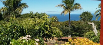 Light-flooded country house with WiFi connection * Last minute offer *