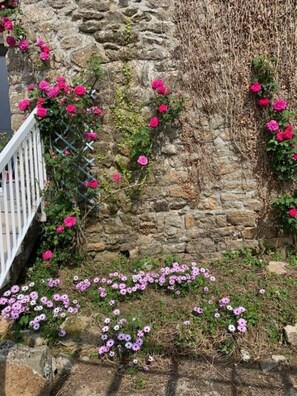 Surrounded by lush greenery, this garden features a climbing plant with vibrant pink flowers and a ground cover of small blooms.