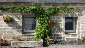 Un bâtiment en pierre, recouvert de lierre qui grimpe le long des murs, avec deux fenêtres et des jardinières au niveau du sol.