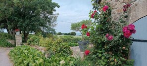 Un jardín con diversas plantas y flores, un muro de piedra y un edificio azul.