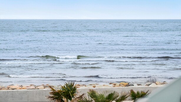 A coastal view with waves, a rocky shoreline, and some vegetation in the foreground.