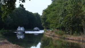 A river with boats and dense greenery on both sides.