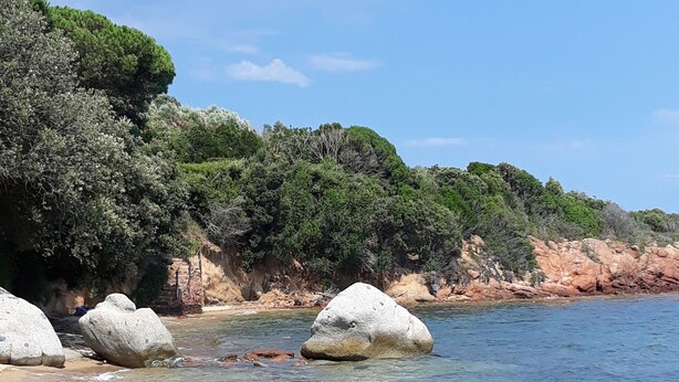 A beach with clear water, large rocks, and dense greenery. - Guest house 1 air-conditioned bedroom with private bathroom and bedroom wc (Porto-Vecchio)