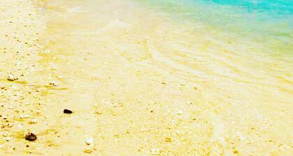 Apartment in quiet and secure residence la saline les bains ocean view