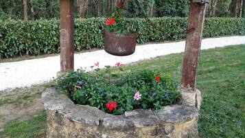 Terrein van de accommodatie