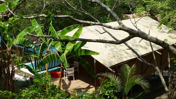 A rustic outdoor seating area with a wooden bench and a table, surrounded by lush greenery and a tree overhead. - Casa Maya Samara ECOLODGE (Sámara)