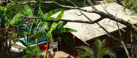 المنطقة المحيطة بالمنشأة