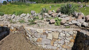 Ein Garten mit Steinmauer, verschiedenen Pflanzen und einem Zaun im Hintergrund.