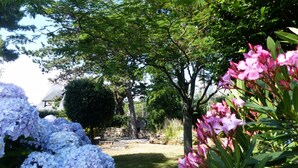 Un jardín con un sendero de piedra, árboles y plantas con flores.