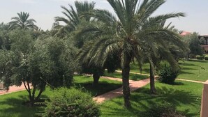 A well-maintained garden with palm trees and a paved walkway. - Villa with pool in Marrakech (Marrakech)