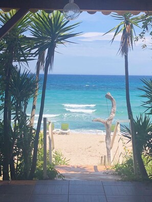 A beach view with palm trees, a clear sky, and a calm sea.