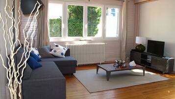 TV connectée, cheminée, livres, chaßne hi-fi