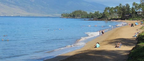 Chaises longues, serviettes de plage