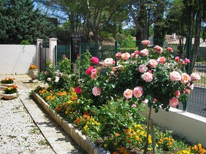 Overnattingsstedets uteområder