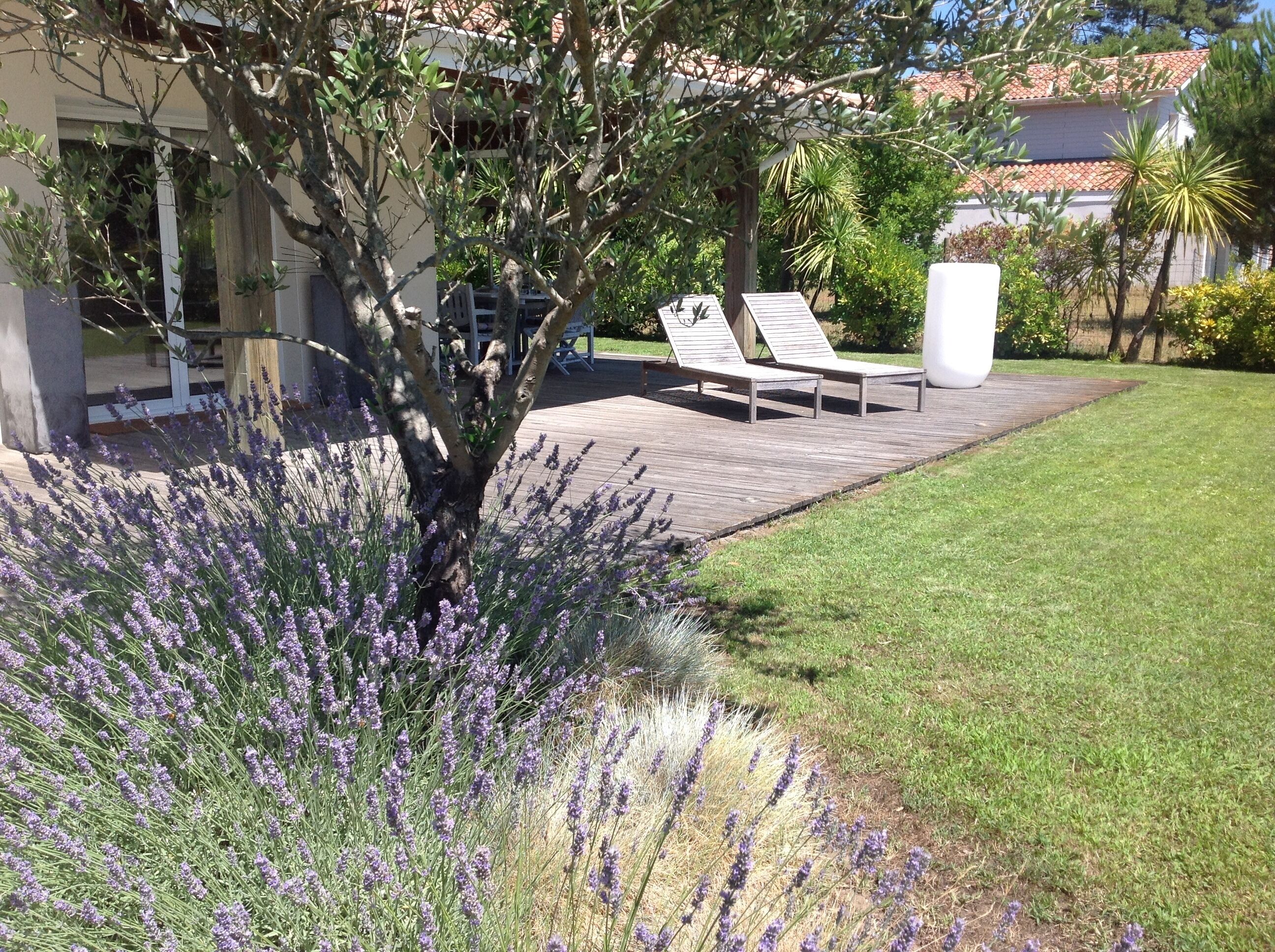Ein Garten mit einer Holzterrasse, zwei Liegestühlen und einem großen Pflanzgefäß.