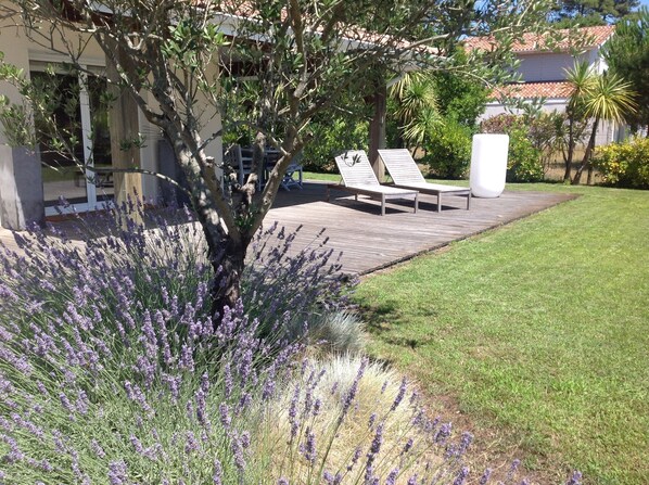 Un jardín con terraza de madera, dos sillones de descanso y una maceta grande.
