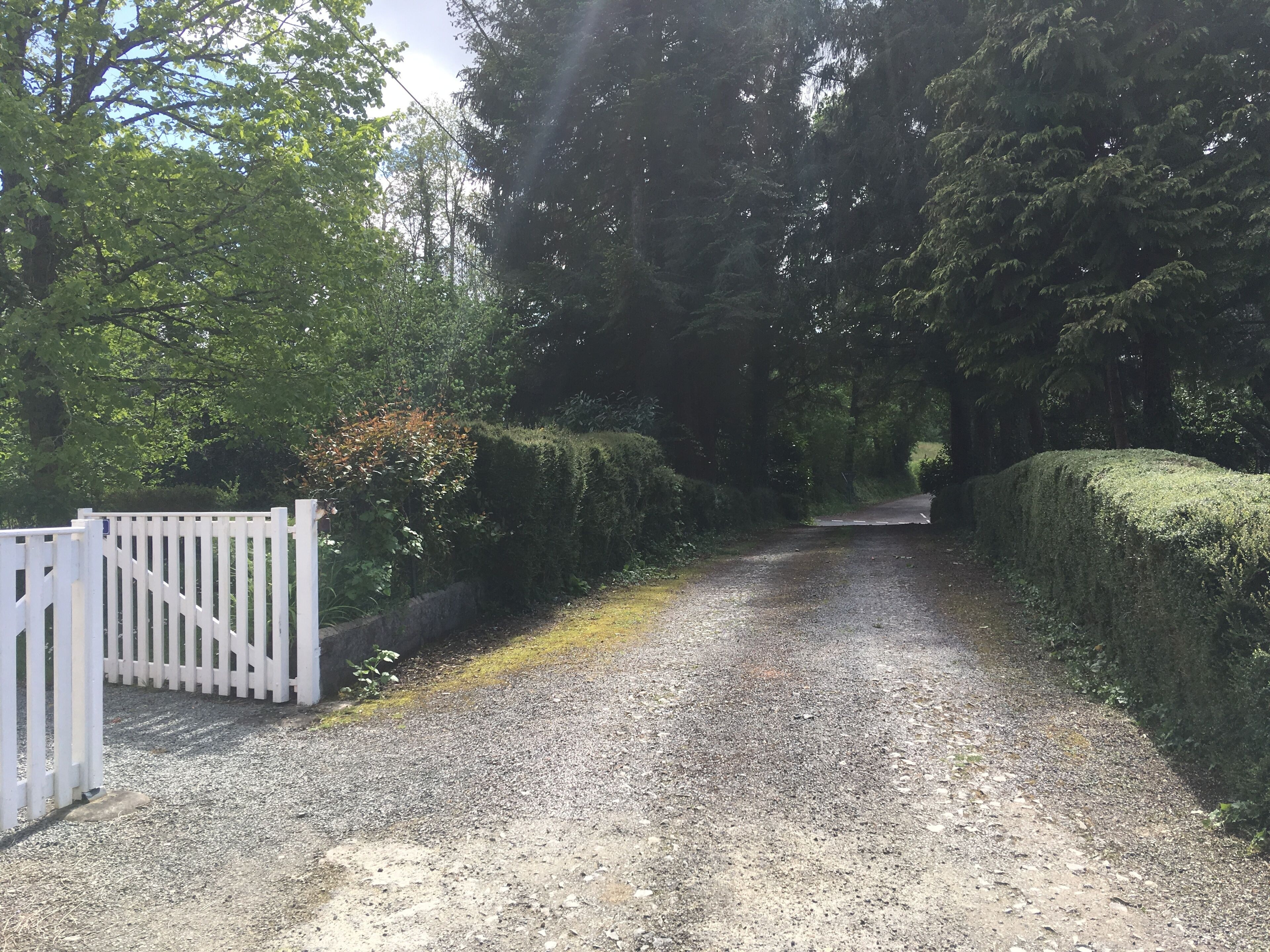 A gravel path leading through a wooded area with a white gate and trimmed hedges.