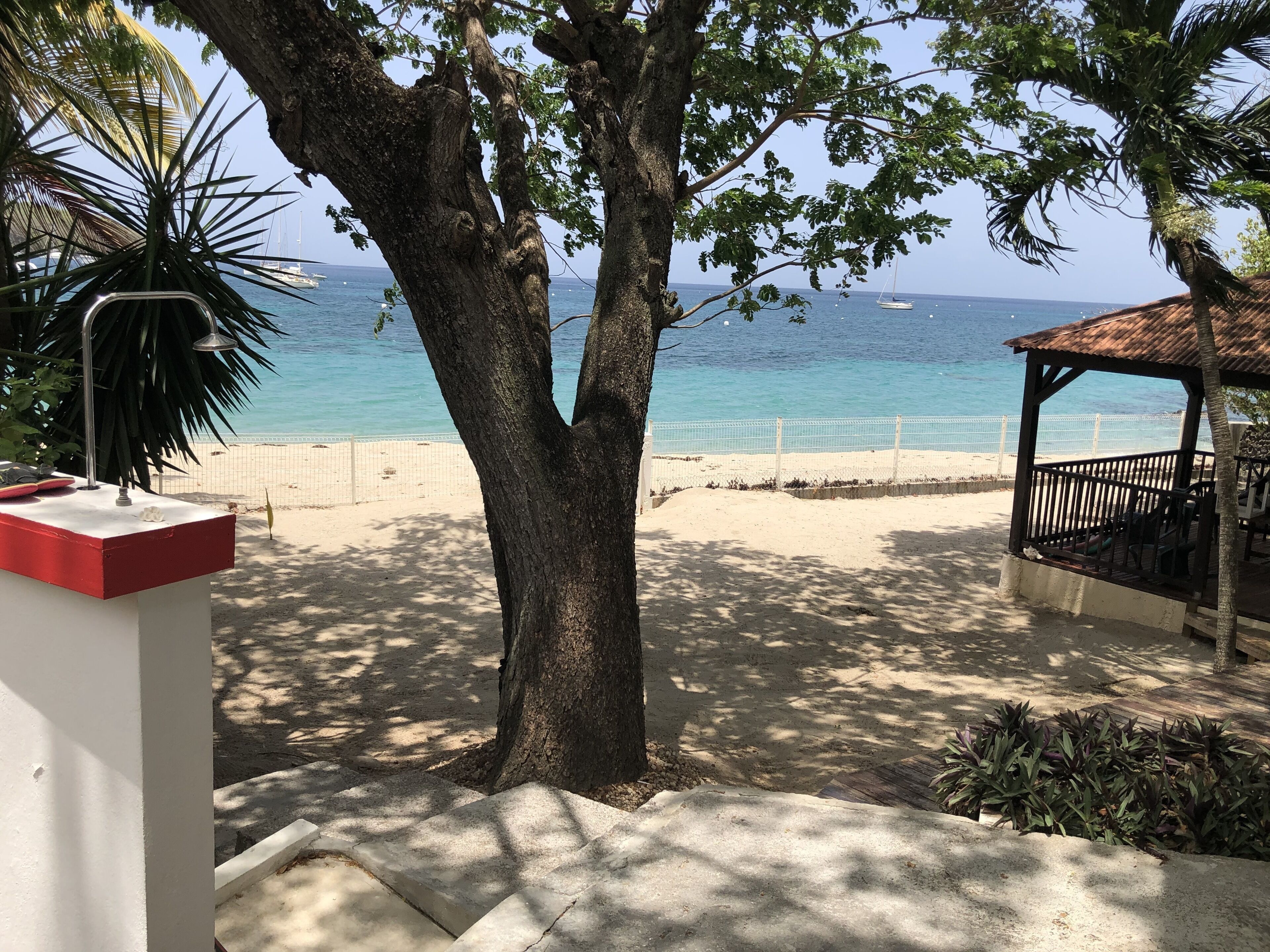 A beach view with a tree, a gazebo, and a white railing.