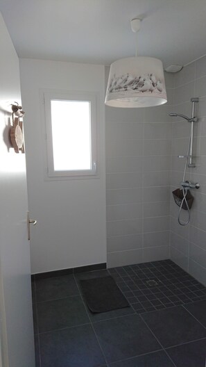 Shower, hair dryer, towels