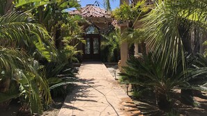 A pathway leading to a building with a tiled roof, surrounded by lush tropical plants. - 10,000 ft² view estate with 7 Bdm Suites, Resort Pool, Theatre, Gym, Game Room! (Fallbrook)