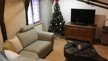 Fernseher