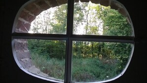 Ein Fenster mit Ziegelbogen und vier Fenstern, das Blick auf einen dichten Wald gewährt.