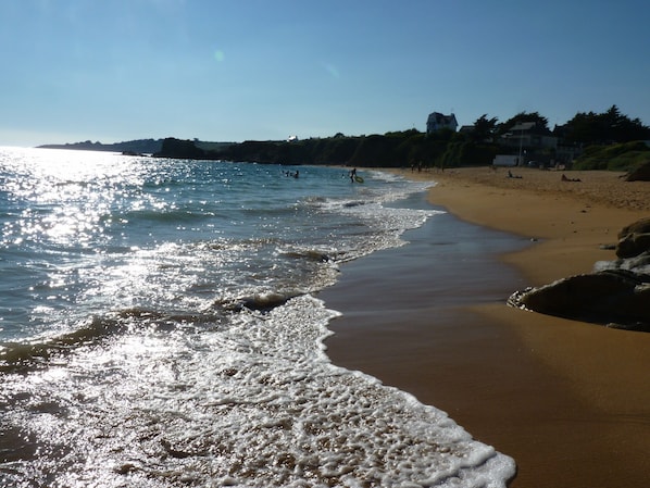 Playa en los alrededores y camastros