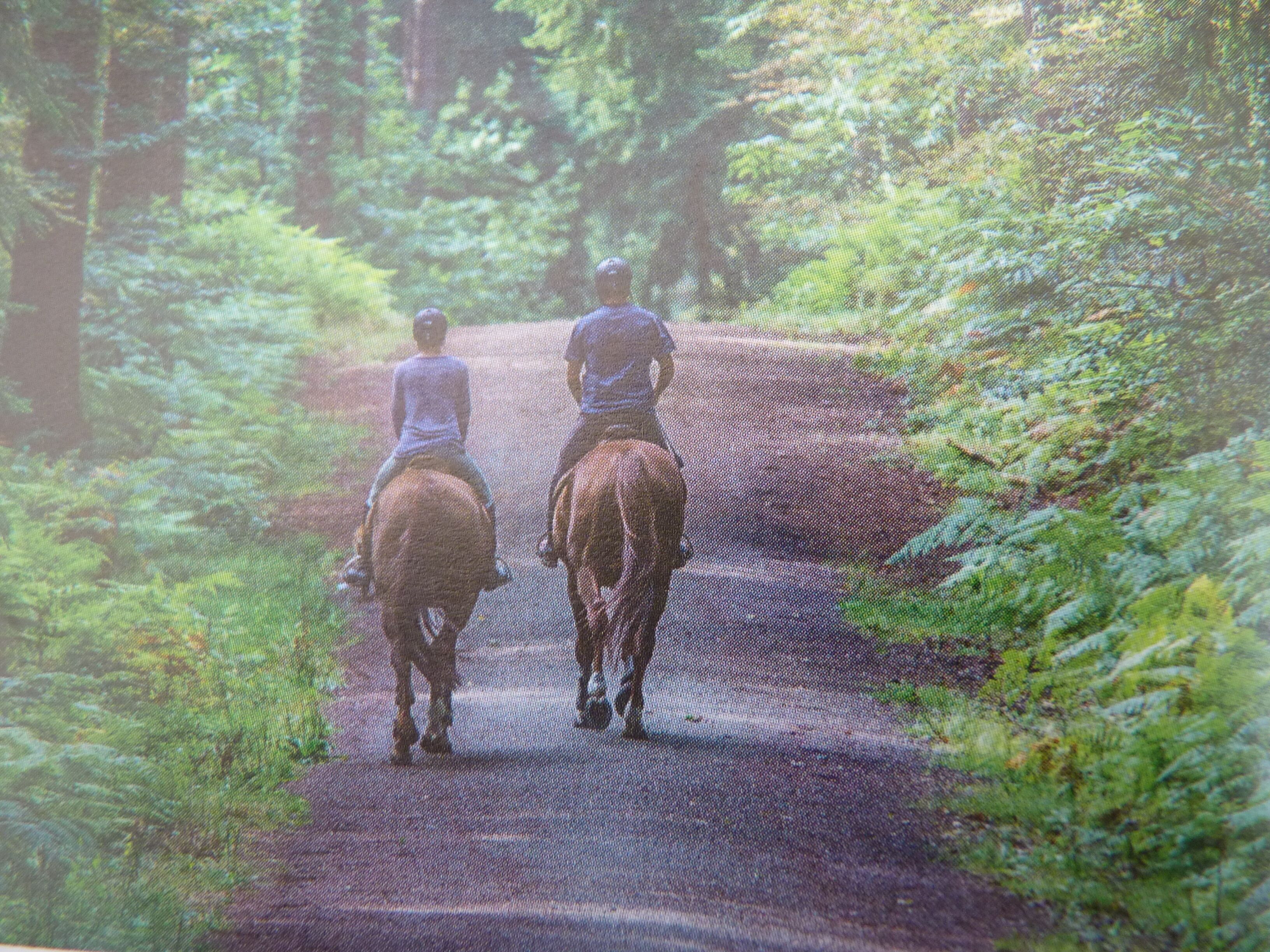 Deux personnes à cheval sur un chemin étroit et non pavé, bordé d’une végétation luxuriante.