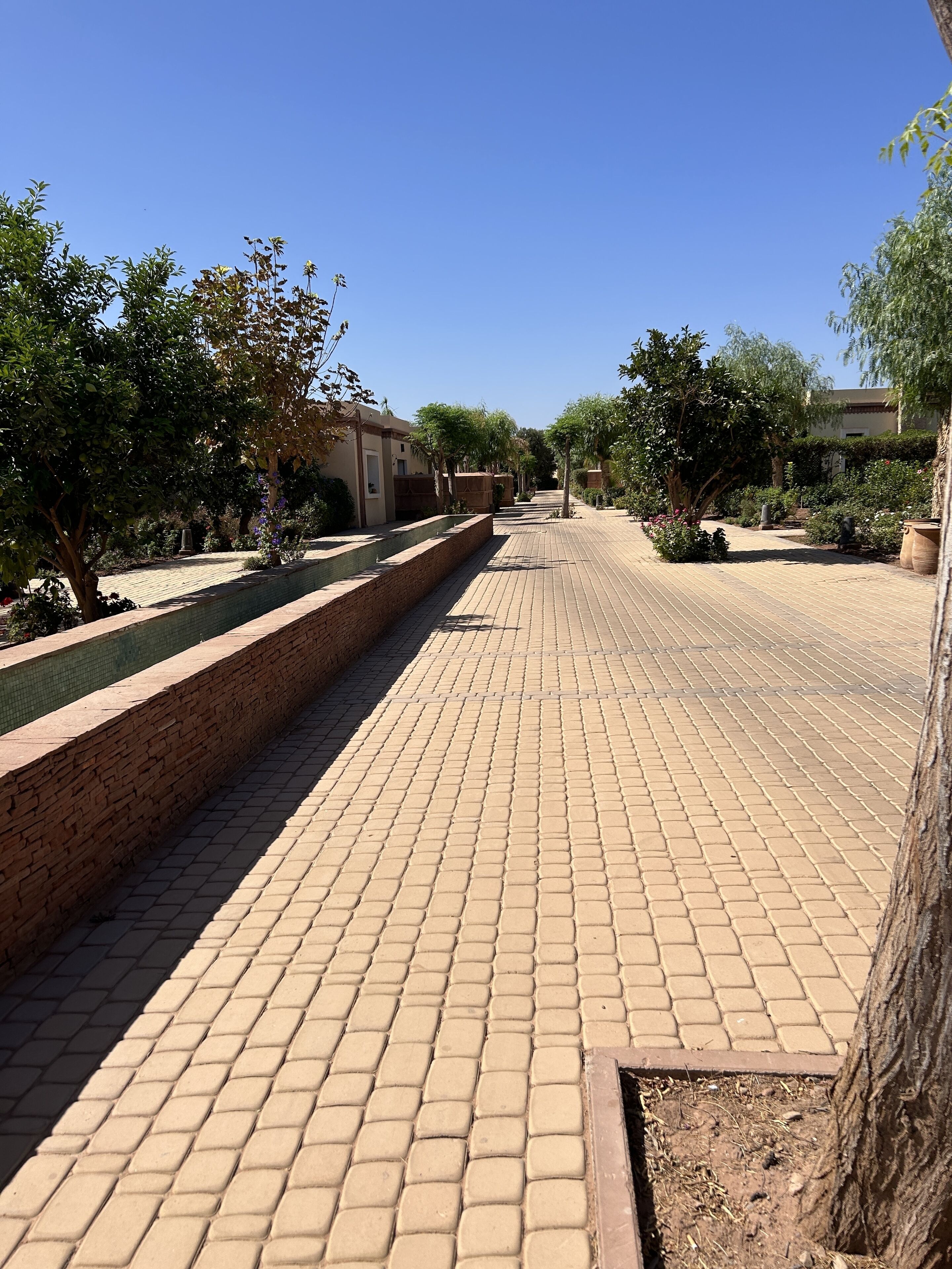 Terrein van de accommodatie