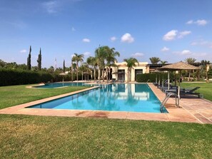 Piscina retangular com deck revestido, cercada por um gramado bem cuidado e palmeiras.