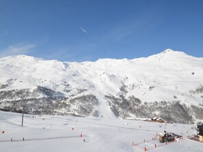 Sneeuw- en skisporten