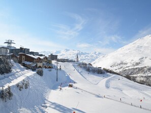 Sne- og skisport