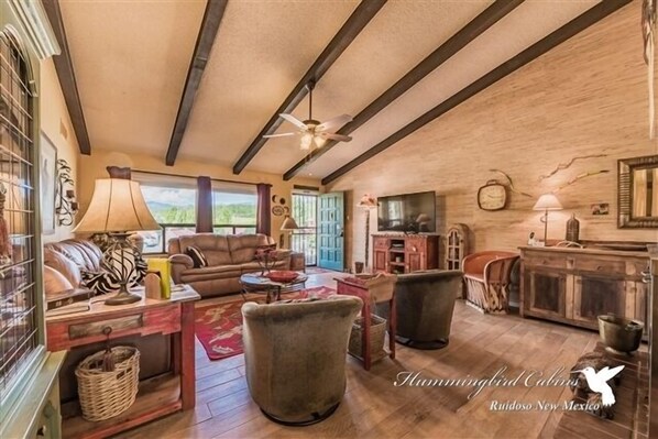 テレビ、暖炉、DVD プレーヤー、書庫