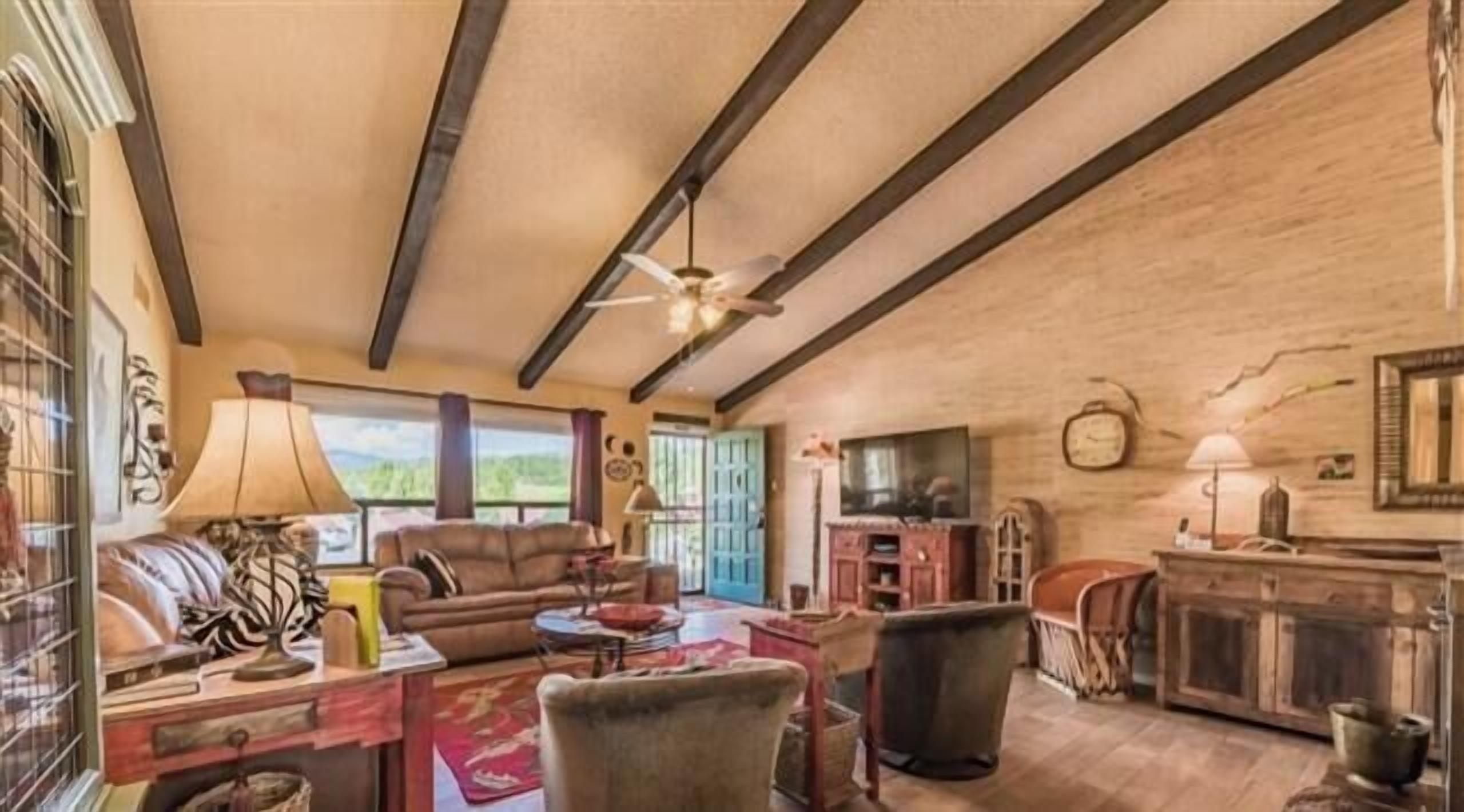 电视、壁炉、DVD 播放器、书