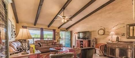 Télévision, cheminée, lecteur de DVD, livres