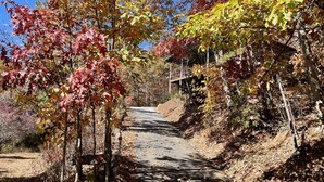 Un sendero pavimentado que atraviesa un área boscosa con follaje otoñal.
