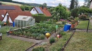 Un giardino residenziale con una serra, una panca di legno e diverse piante.