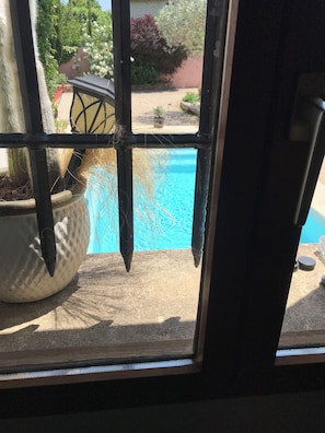 Interior - Rare, in town and quiet, refined Mazet, private pool, flower garden (L'isle-Sur-La-Sorgue)