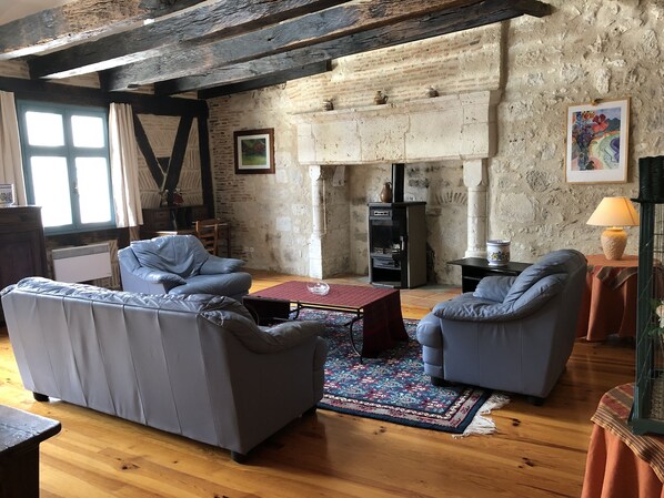 Fireplace, DVD player, ping pong, books