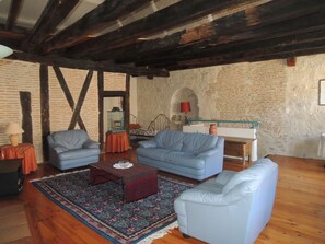 Fireplace, DVD player, ping pong, books