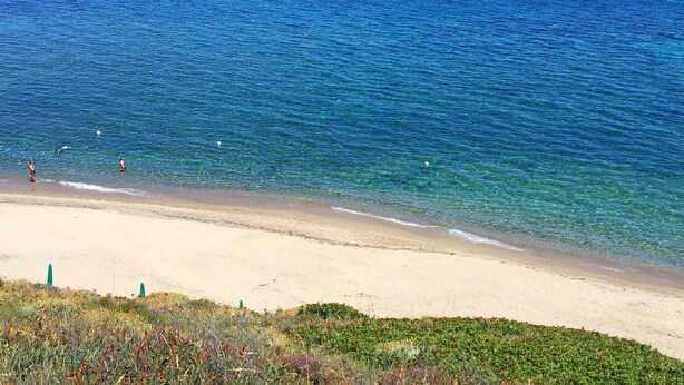 Een strand met helderblauw water, een zandstrand en begroeiing in de voorgrond.